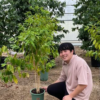 生産者